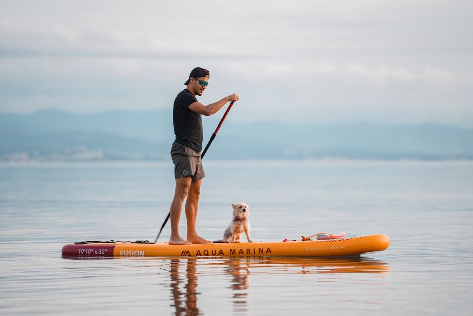 Kayak / SUP Dog Setup